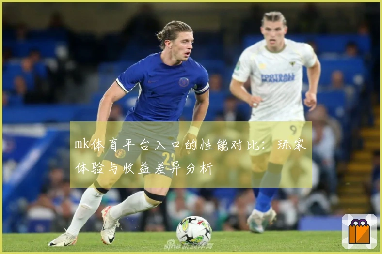 mk体育平台入口的性能对比：玩家体验与收益差异分析