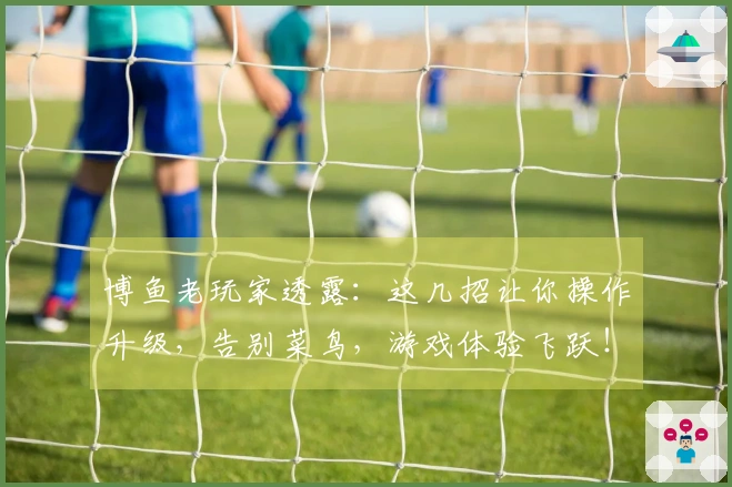 博鱼老玩家透露：这几招让你操作升级，告别菜鸟，游戏体验飞跃！