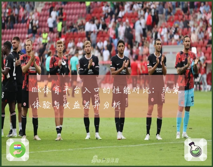 mk体育平台入口的性能对比：玩家体验与收益差异分析